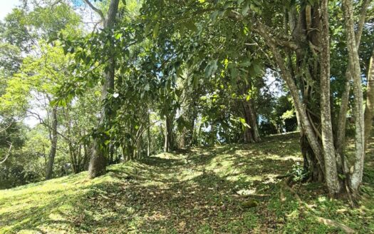 Beautiful views and quiet gated community – 400052042063