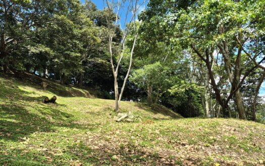 Beautiful views and quiet gated community – 400052042063