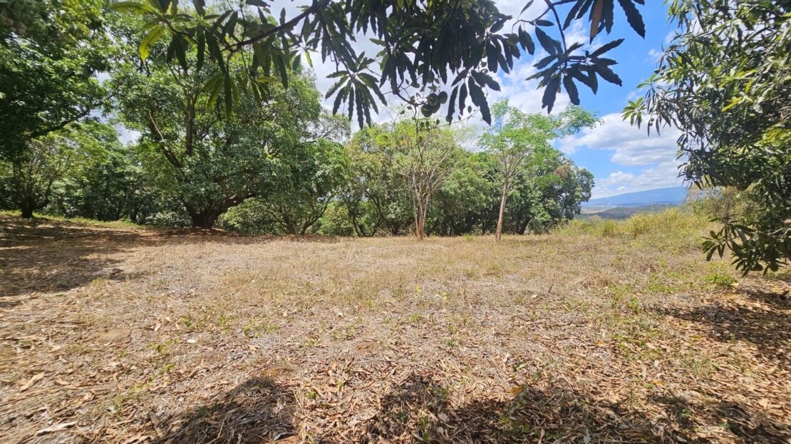 Costa Rica Lot/Land #400052010077