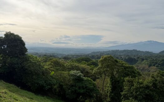 New lot to market in gated community with big views – 400051521144