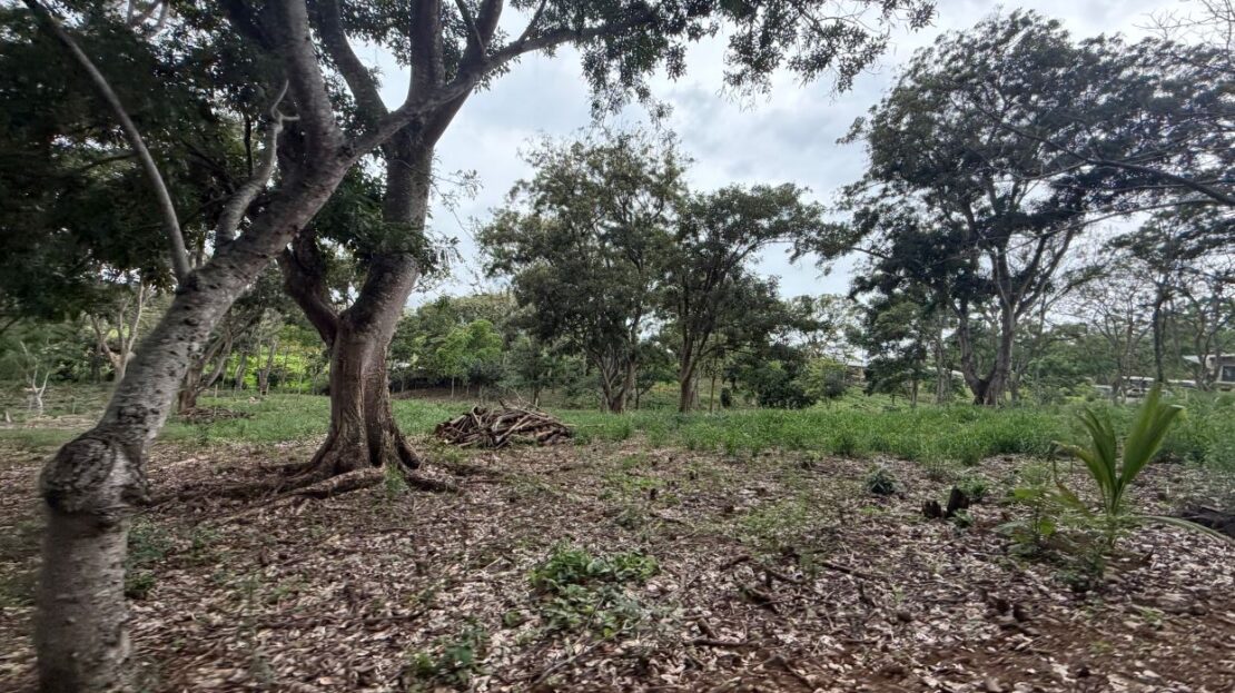 Costa Rica Lot/Land #400051521146