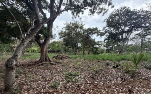 2 lots next to each other in a park like setting for sale in Atenas – 400051521146