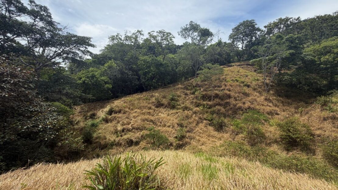 Costa Rica Lot/Land #400051521154