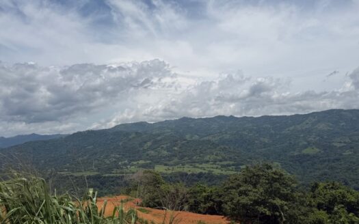 New community lots from 978m2 to 7004m2 at $235,000 – 400051521125