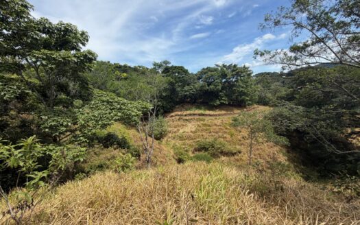 12,297m2 (3 acre) lot in the cooler climate of Barrio Jesus of Atenas – 400051521154