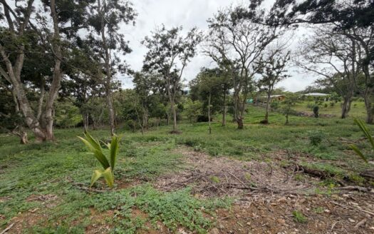 2 lots next to each other in a park like setting for sale in Atenas – 400051521146