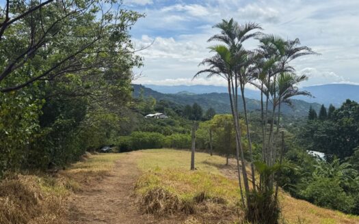 12,297m2 (3 acre) lot in the cooler climate of Barrio Jesus of Atenas – 400051521154