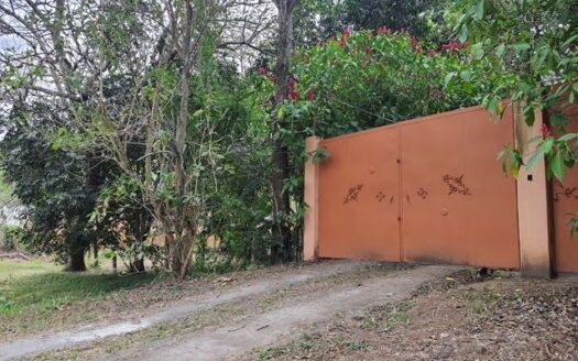 Unique style home surrounded by tropical gardens just minutes away from Atenas Center – 40005152942