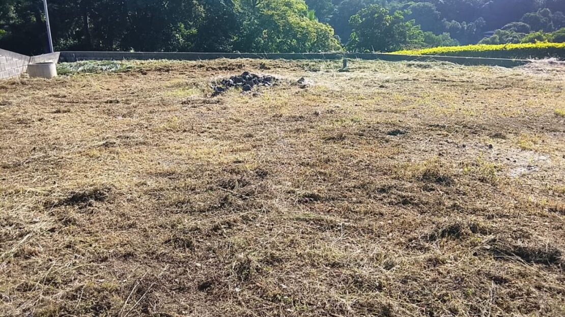 Costa Rica Lot/Land #400052010080