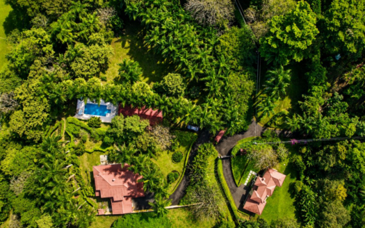 Luxury Multi-Residence Estate in Atenas –  exceptional 3.46-acre property – 400052042226