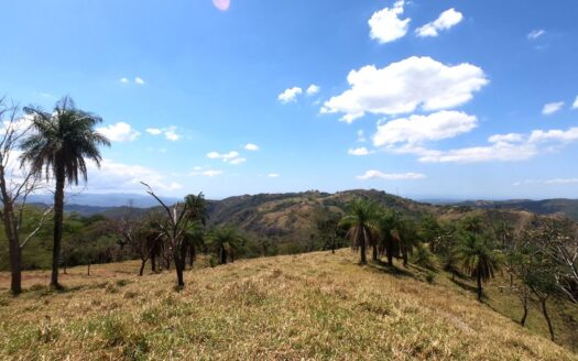 FINCA BARROETA A 16-Hectare (161,799 m²) Development Estate or Private Farm in Barroeta de Atenas, Costa Rica – 400051521168