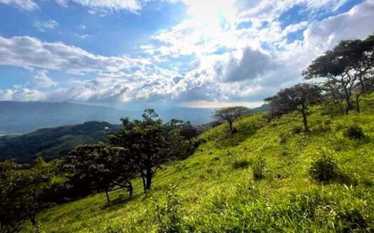Ideal farm with amazing views for development – Guacimo, Atenas, Alajuela – 40005152876