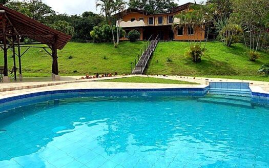 Amazing Colonial Country Style Home, guest home and large stable or storage – 40005152529