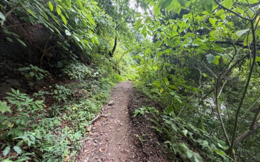 Minas del Aguacate — 14 Acres of Jungle, Waterfalls & Costa Rican Mining History, 20 Minutes from Atenas – 400051521163