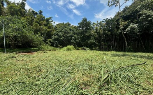Lot for sale in the same private community with common gate 3 minutes from Atenas Center – 40005152961