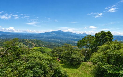 Exclusive Vista Atenas Ridge Lot — 12,573 m² with 300° Views – 400051521177