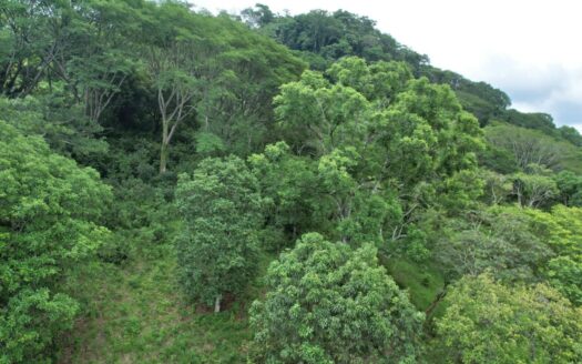 Excellent Opportunity in Atenas – 4,087.56 m² | ¢45,000,000 – 400052042254