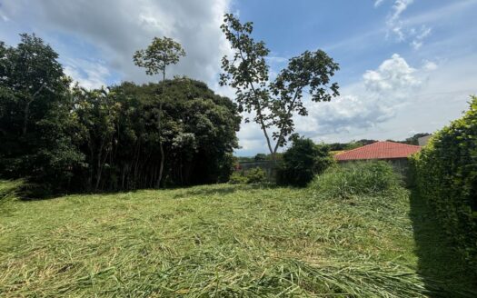 Lot for sale in the same private community with common gate 3 minutes from Atenas Center – 40005152961