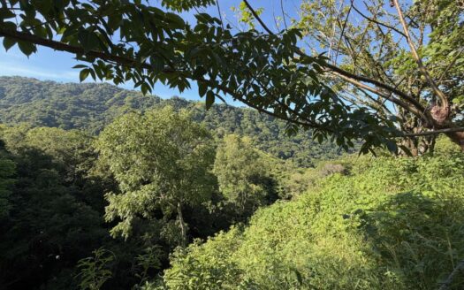 9585m2 (2.36 acres) with fruit trees and views 20 minutes from Atenas – 400051521164