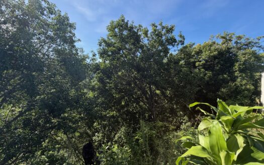 9585m2 (2.36 acres) with fruit trees and views 20 minutes from Atenas – 400051521164