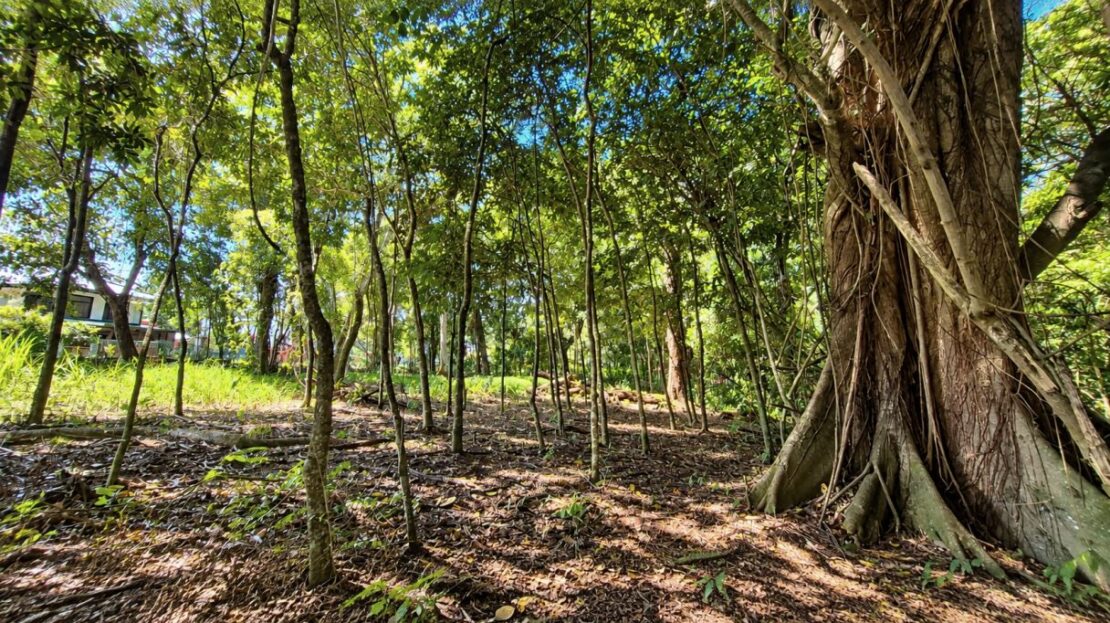 Costa Rica Lot/Land #400052042264