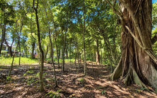Prime Location – Buildable Lot Just 3 Minutes from Downtown Atenas – 400052042264