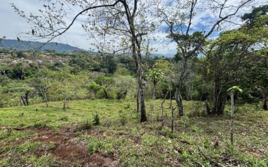 30,251m2 (7.5 acres) that can be developed in Atenas – 400051521036