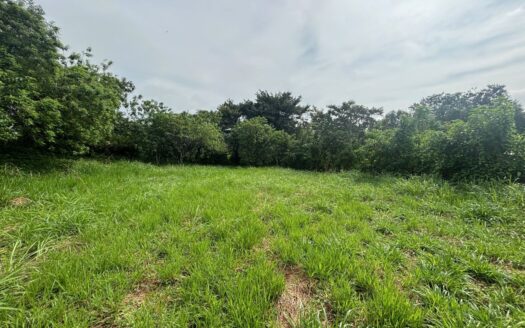 All usable almost 1 acre lot in exclusive Atenas area – 400051521004
