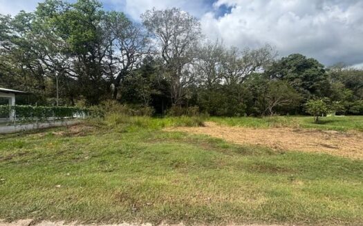 One of the last 2 lots in Roca Verde community in Atenas – 40005152992