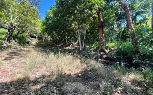Large property in the nature of Atenas – 40005152821