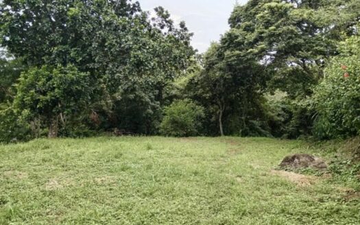 Property surrounded by nature while still having access to essential amenities – 400052042075