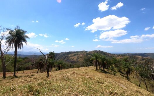 FINCA BARROETA A 16-Hectare (161,799 m²) Development Estate or Private Farm in Barroeta de Atenas, Costa Rica – 400051521168