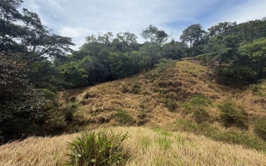 12,297m2 (3 acre) lot in the cooler climate of Barrio Jesus of Atenas – 400051521154