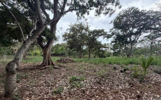 2 lots next to each other in a park like setting for sale in Atenas – 400051521146