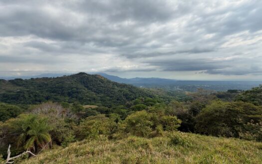 193 ACRES OF PACIFIC VIEWS, FOREST & UNLIMITED POSSIBILITY – 400051521133