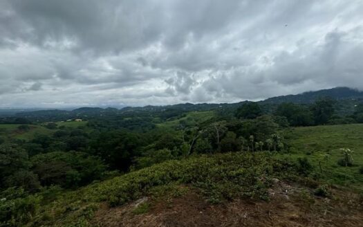 1898m2 with large views of San Jose from Morazan of Atenas – 40005152939