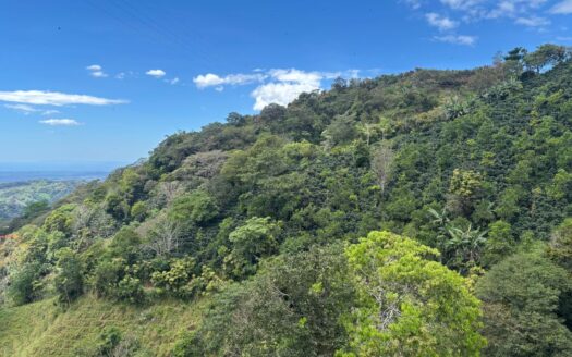 30,000m2 farm (7.5 acres) located 10 minutes from town with amazing Pacific views. – 400051521001