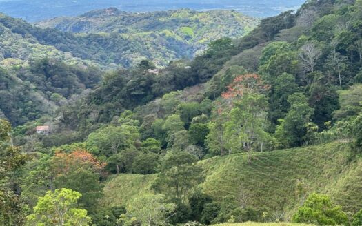 30,000m2 farm (7.5 acres) located 10 minutes from town with amazing Pacific views. – 400051521001