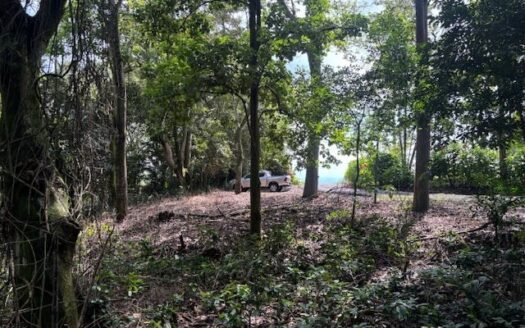 One of the last lots located in a private community adjacent nature in Atenas – 40005152966