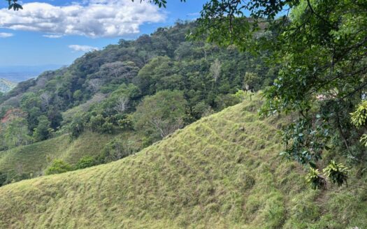 30,000m2 farm (7.5 acres) located 10 minutes from town with amazing Pacific views. – 400051521001