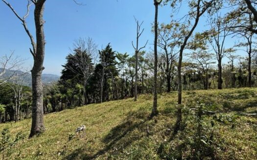 Farm in cool area of Atenas with view  – Alto Del Monte, Atenas, Alajuela – 40005152896