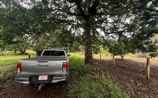 All usable 2195 (1/2 acre) in developing area just 5 minutes from town – 40005152982