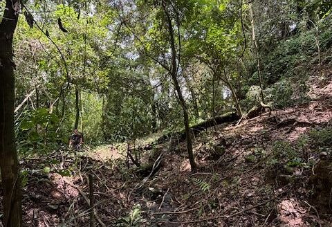 6 Hectares (15 acres) with home and plenty of water – 40005152957