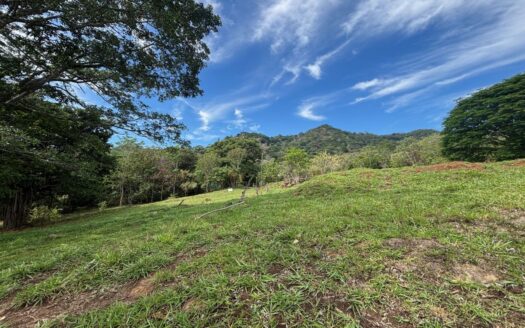 30,251m2 (7.5 acres) that can be developed in Atenas – 400051521036