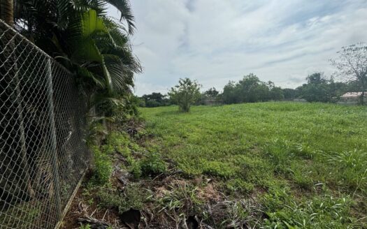 All usable almost 1 acre lot in exclusive Atenas area – 400051521004