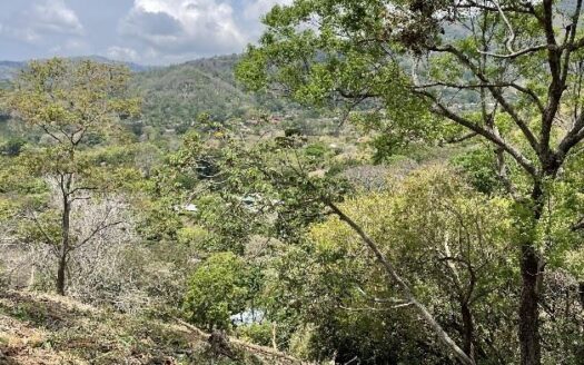 Community with 3758m2 lot and 2 of 7000m2 with views! – 40005152935