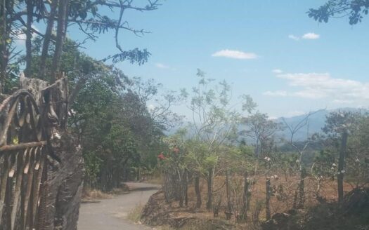 Farm in cool area of Atenas with view  – Alto Del Monte, Atenas, Alajuela – 40005152896