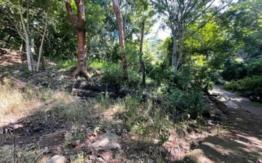 Large property in the nature of Atenas – 40005152821