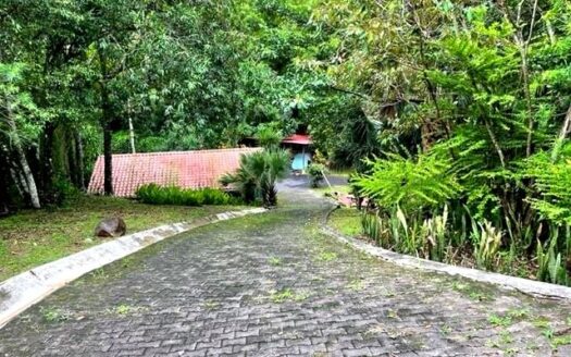 Modern build with large pool, 2 guest homes and ranchos – 40005152685