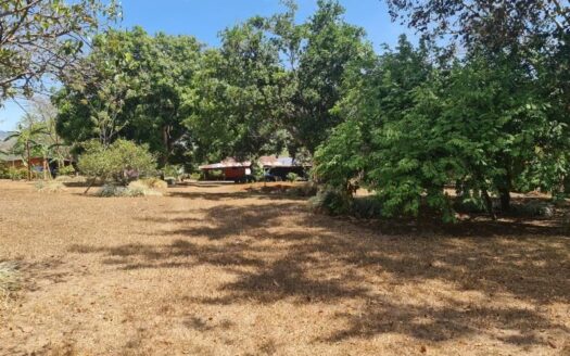 Lot with home near Atenas Centro – 400052010005